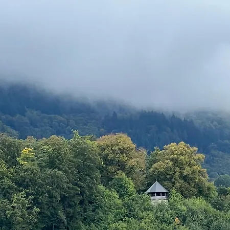 דירה Schloessleblick Wehr (Baden-Wurttemberg)